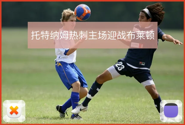 托特纳姆热刺主场迎战布莱顿