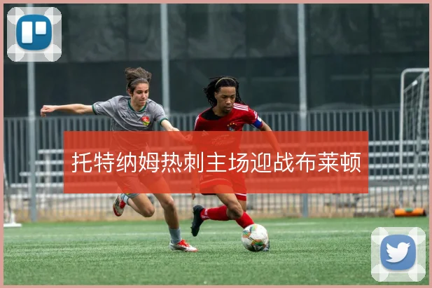 托特纳姆热刺主场迎战布莱顿
