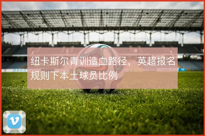 纽卡斯尔青训造血路径,英超报名规则下本土球员比例